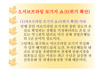 서브프라임 모기지의 현황과 대응책-10