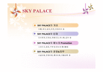 SKYPALACE 개요 레포트-2