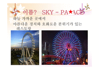 SKYPALACE 개요 레포트-6