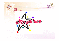 SKYPALACE 개요 레포트-7