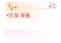 SKYPALACE 개요 레포트-18