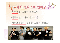 SKYPALACE 개요 레포트-20