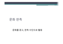 문화마케팅 레포트-13
