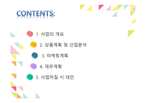 벤처창업과 경영 아이스크림가게 사업계획서-2