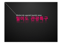 월미도 관광특구-1