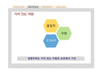 자원기반 경쟁전략보고서-6