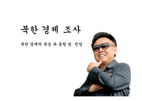 북한 경제조사 레포트-1