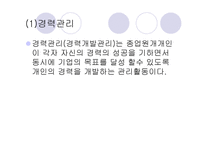 인적자원관리보고서-19