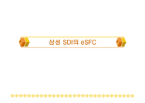 삼성 SDI의 eSFC 레포트-1