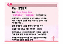 싱가포르항공 SINGAPORE AIRLINES분석 보고서-9