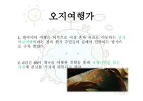 함께 형 리더십 한비야-5