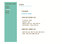 디자인 마케팅 프로젝트 연구-17