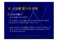 인플레이션과 산업조직-20
