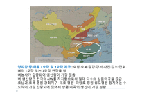 중국 경제지리 농업 지리-8