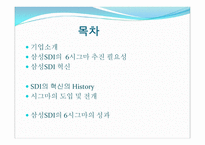 삼성 SDI시그마 분석 보고서-2