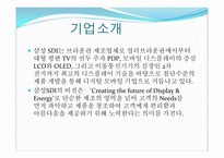 삼성 SDI시그마 분석 보고서-3