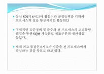 삼성 SDI시그마 분석 보고서-12
