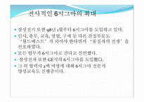 삼성 SDI시그마 분석 보고서-15