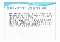 삼성 SDI시그마 분석 보고서-19
