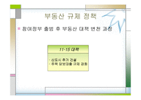 부동산 규제정책참여정부 부동산 정책분석-9