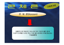 사회학개론 한국의 재벌 문제-9