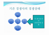 SL의 기업경영분석-17