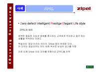 지펠 ZIPEL사례보고서-1