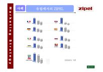 지펠 ZIPEL사례보고서-11
