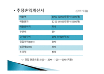 현대자동차 프로젝트 타당성 평가-4