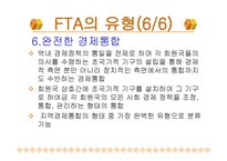 한국의 FTA 레포트-12
