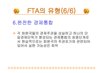 한국의 FTA 레포트-13