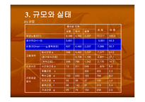 비정규직 근로자의 실태와 법적 문제-8