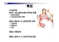 SMEntertainment 기업분석-2