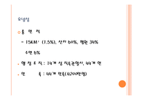동북성 발전정책 및 성과-12