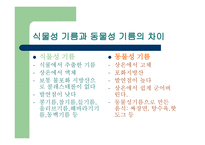 식물성 기름의 진실-4