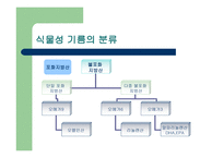 식물성 기름의 진실-5