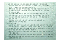 베트남의 선교전략-10