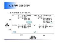 전략적 마케팅 계획-12