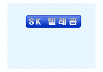 Sk기업경영분석사례-1