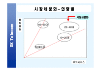 Sk기업경영분석사례-12