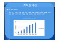 국제관계의 이해 IMF-9