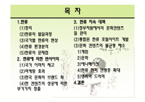 한류를 이용한 문화산업의 경쟁력 제고 방안-2