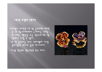 CHANEL 레포트-11