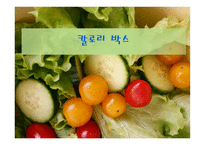 칼로리박스 사업 아이템 소개-1