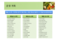 칼로리박스 사업 아이템 소개-10