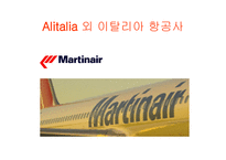 이탈리아 항공사 ALITALIAMARTINAIR분석 보고서-9