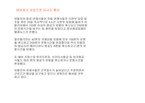 이탈리아 항공사 ALITALIAMARTINAIR분석 보고서-19