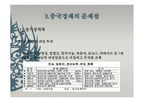 중국 경제의 문제점-6
