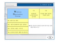 윈스톰 마케팅 전략보고서-15