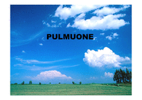 풀무원 PULMUONE기업분석-1